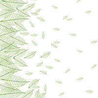 Zartes Blattmotiv „Sheer“ mit hellgrünen Linien auf weißem Grund für natürliche Lamellenvorhänge