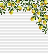 Dessin Limone rechts