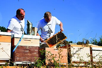 Zwei Männer im beeswe.love-T-Shirt arbeiten gemeinsam an Bienenstöcken, einer hält eine Bienenwabe in der Hand.