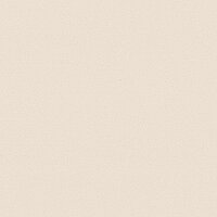 Close-up of a beige soft-touch slat from the VELVET METAL collection with a subtle shimmering finish – ideal for stylish interior venetian blinds.