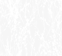 Pleated fabric sample “Jolanda 4654” with white grass pattern on light grey background