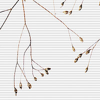 Zartes Wabenplissee mit Rispenzweigen auf weißem, feingliedrig gestreiftem Hintergrund – MHZ-Dessin „Ida Rispe“.