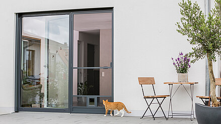 MHZ Insektenschutz mit Katzenklappe