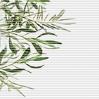 Honeycomb blind with olive branch design in the upper left corner on a fine striped background