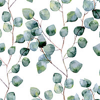 Aquarell-Motiv „Eucalyptus“ mit zarten, grün-blauen Blättern auf weißem Hintergrund für Lamellenvorhänge
